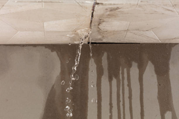 Professional Structural Drying technician working in Ayr, ND